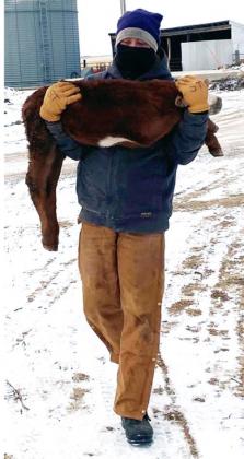 Cattle producers take special precautions