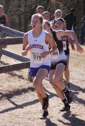 Michelle Zarybnicky runs around a fence during Saturday’s state cross country meet in Victoria. The Hanover junior placed 15th.