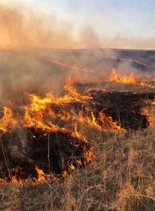 Jake Pannbacker, of Washington, won the KLA Member category of the Ranchland Trust of Kansas photography contest. His photo features springtime pasture burning.