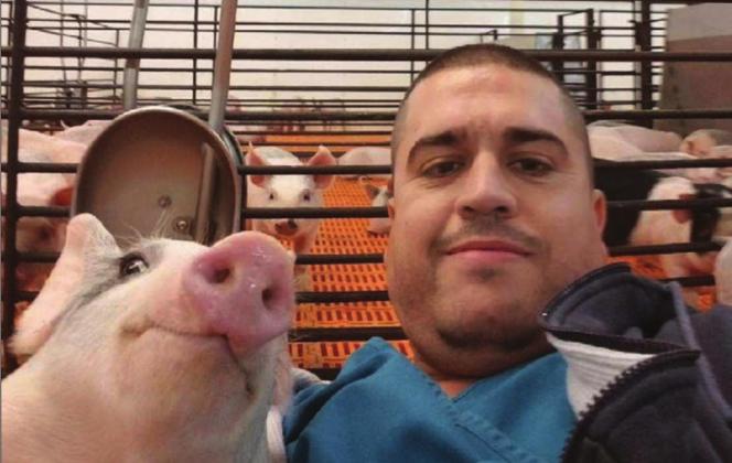 Team members at Keesecker Agri Business spend some time with the main focus of the business – the piglets. Nursery manager Alvaro Ayala, above, takes a selfie with a pig. Below left is Rocio Chavez in one of the nursery buildings and below right, Karin Joanette Pretorius cradles a young piglet.